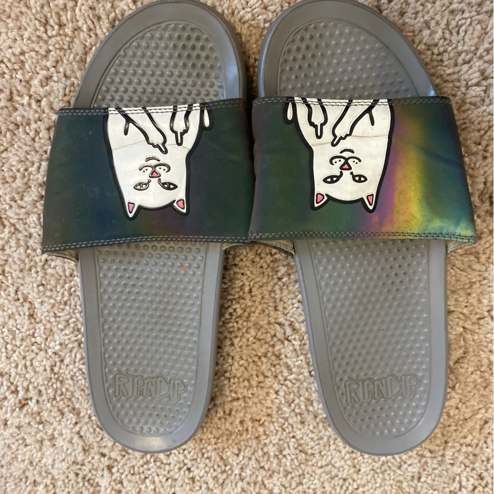 RIPNDIP slides.